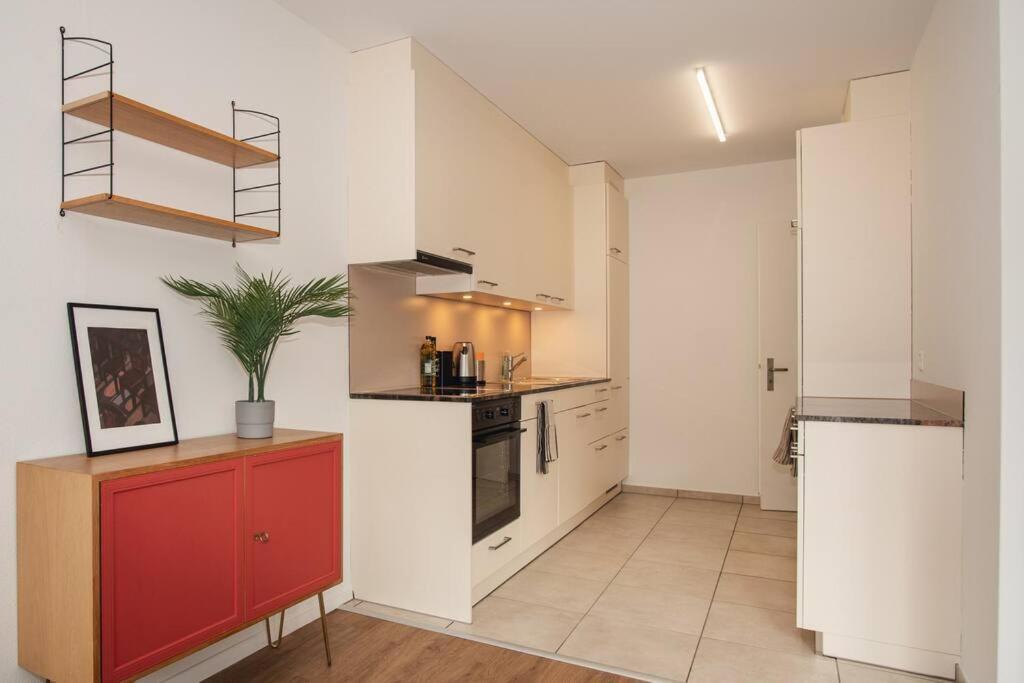 Spacious Apartment Next To Rhine バーゼル エクステリア 写真