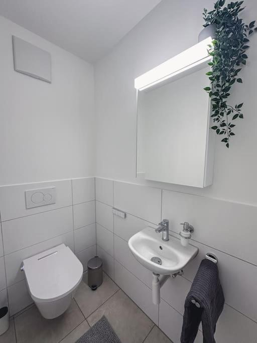 Spacious Apartment Next To Rhine バーゼル エクステリア 写真